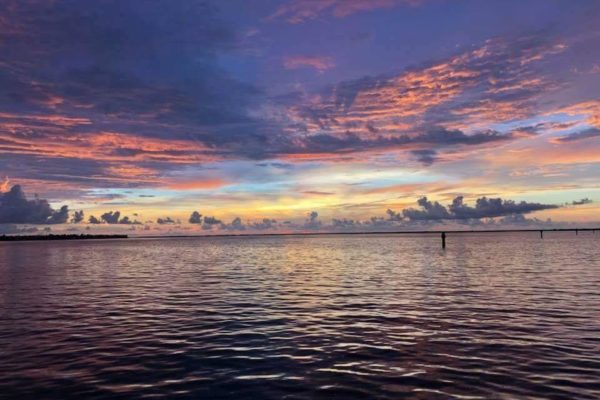 44106605_10155919000302291_4073542567747125248_n