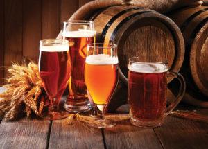 village-brewhouse-beers